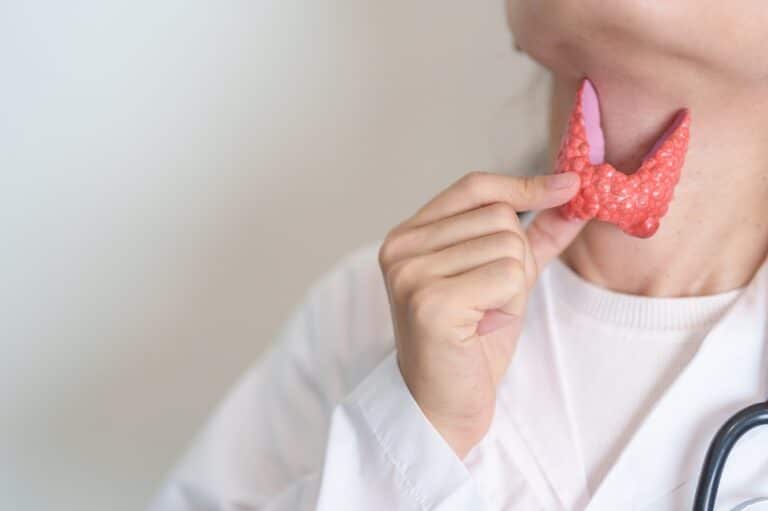 Biopsja tarczycy – lekarz pokazuje model gruczołu podczas badania diagnostycznego