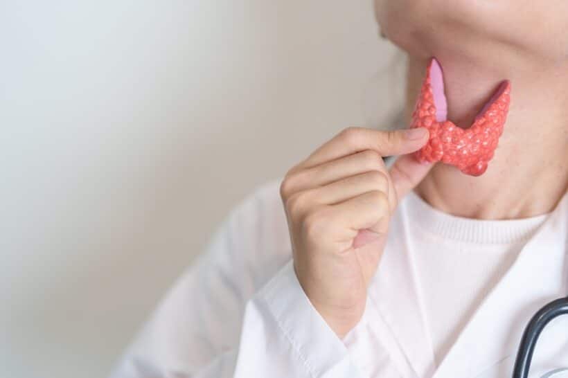 Biopsja tarczycy – lekarz pokazuje model gruczołu podczas badania diagnostycznego